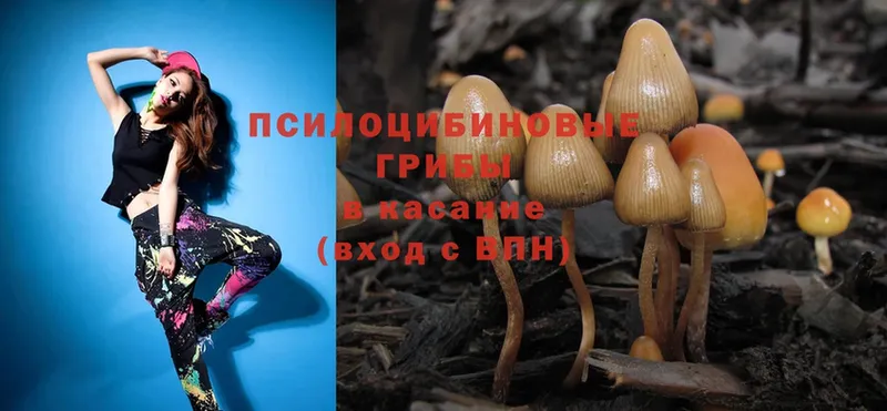 купить  цена  darknet какой сайт  Галлюциногенные грибы Psilocybe  Новодвинск  OMG tor 